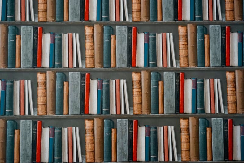 bookshelves pic