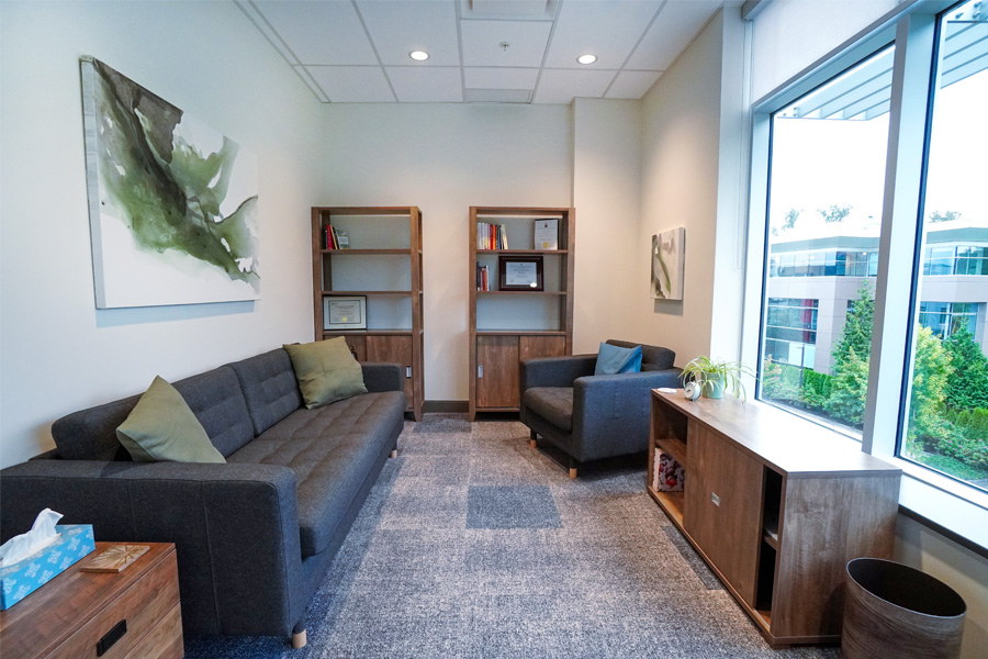 Spruce Therapy Room Office view
