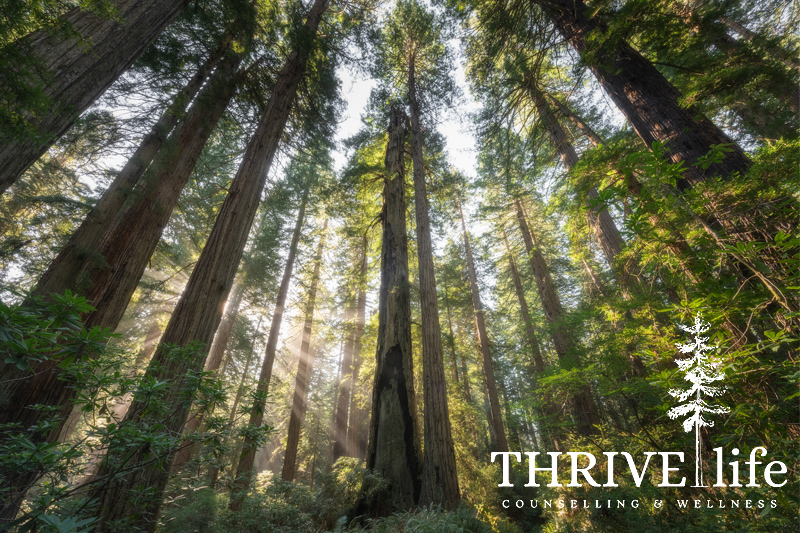 Small things, BIG impact: ThriveLife’s Story of Transformation
